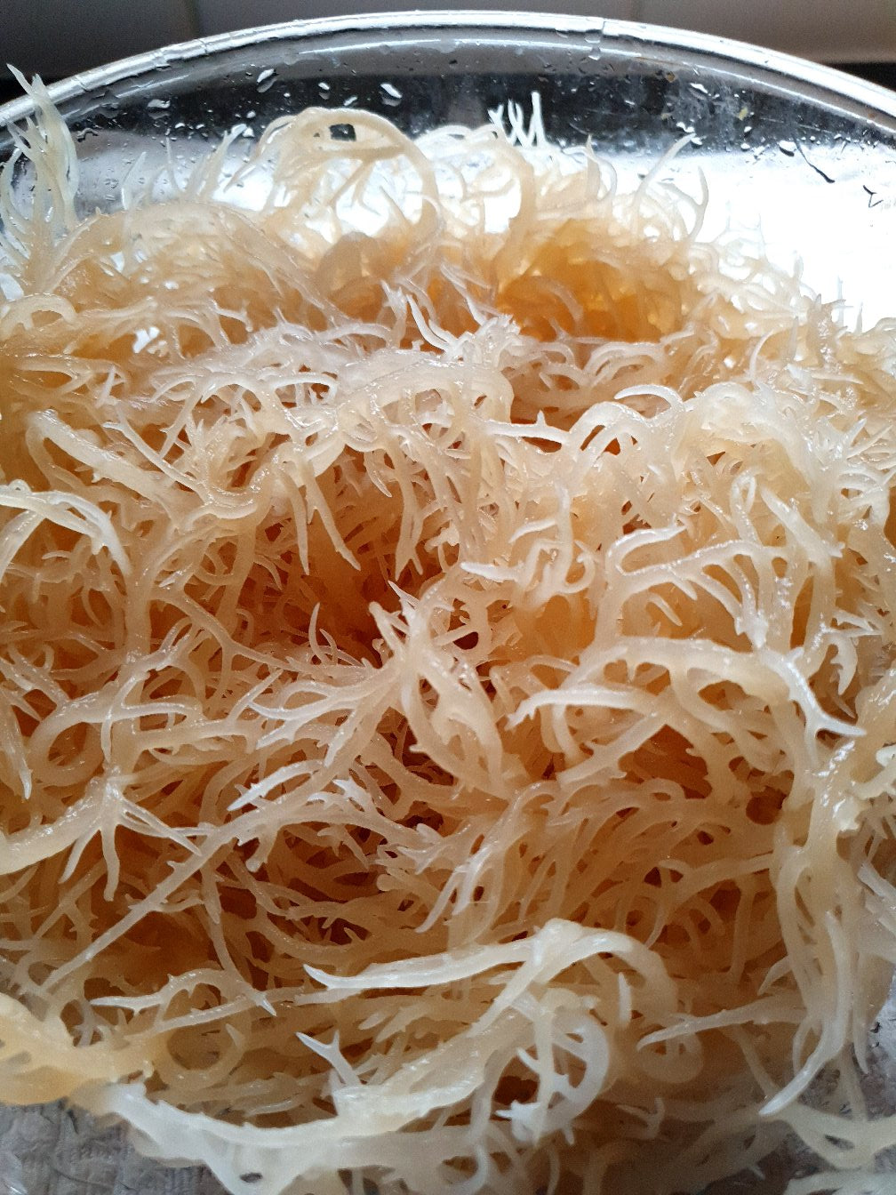 Organic Wild Crafted St Lucian Sea Moss - 225g