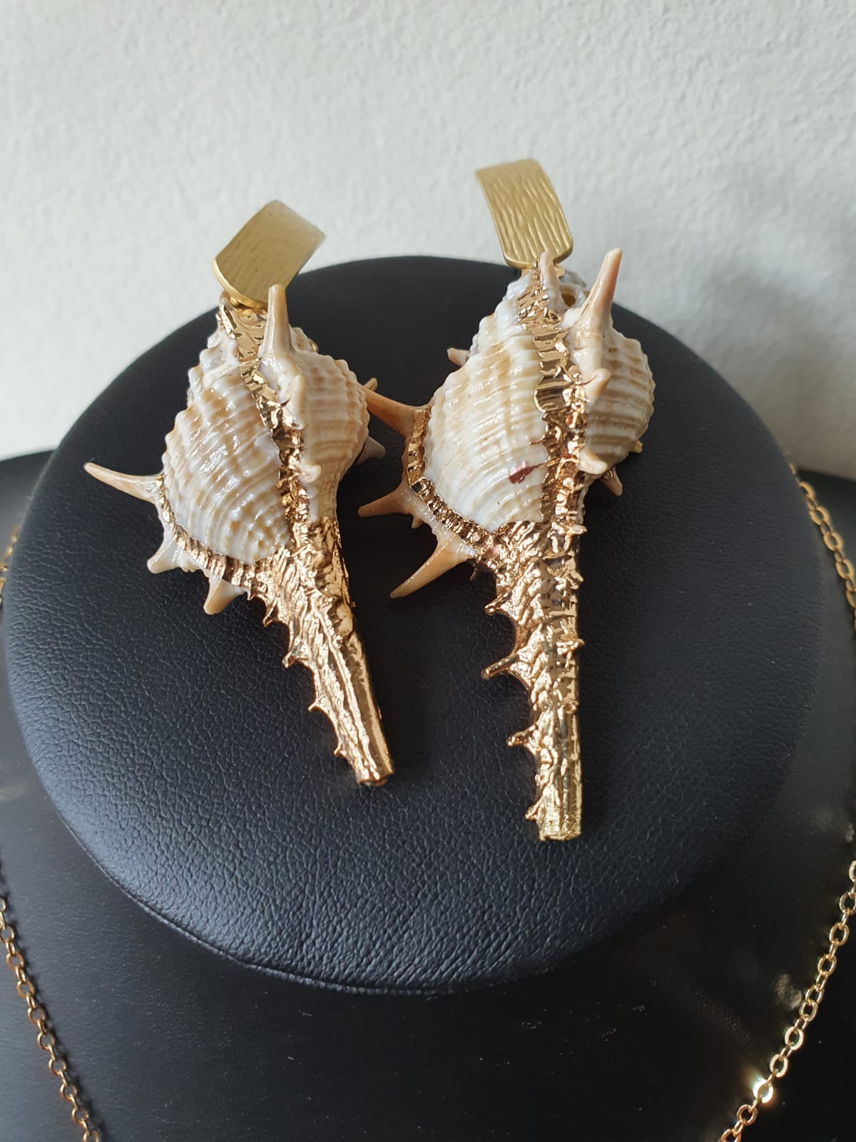 Conch Shell Set