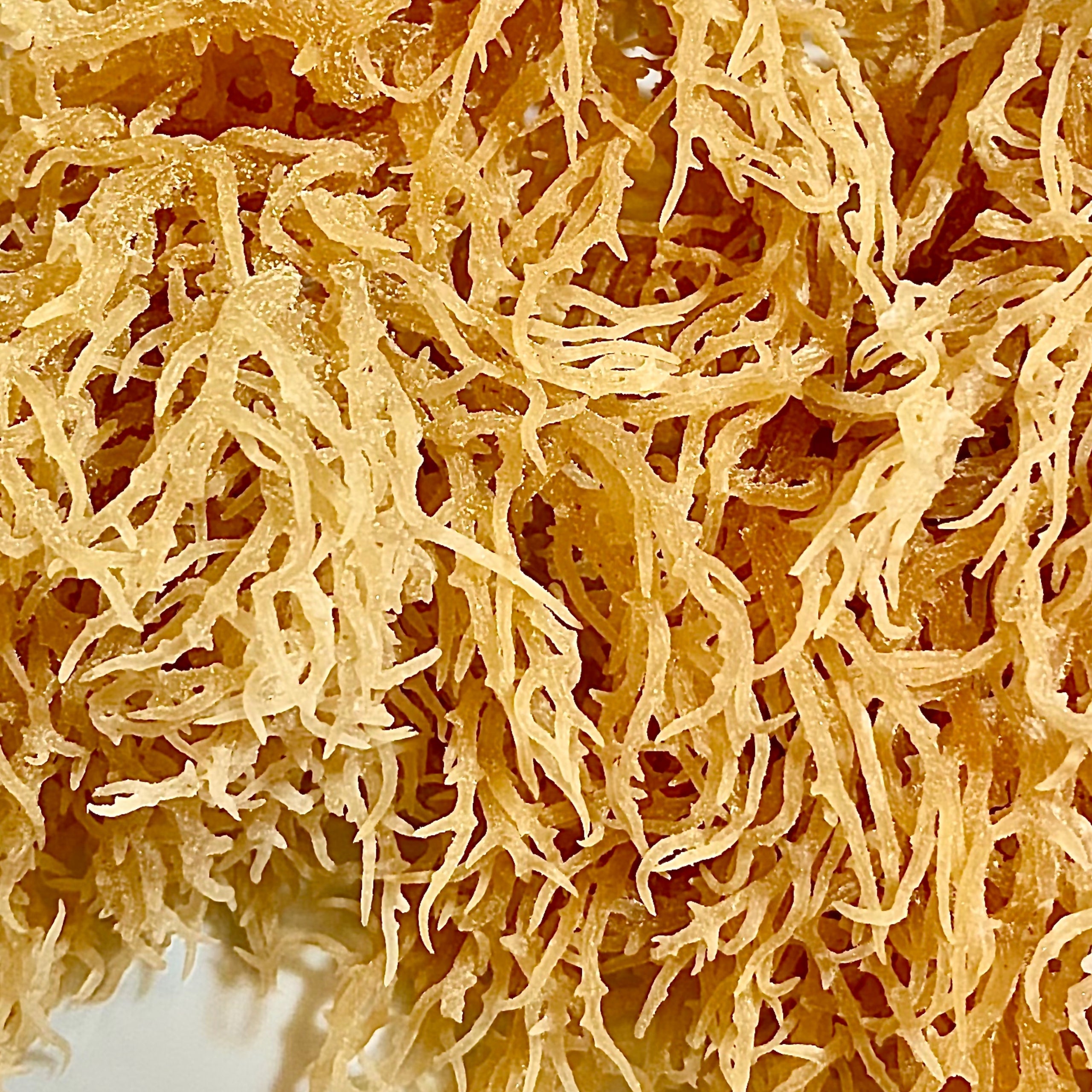 Organic Wild Crafted St Lucian Sea Moss - 225g